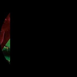 Meet your Posher, Ian